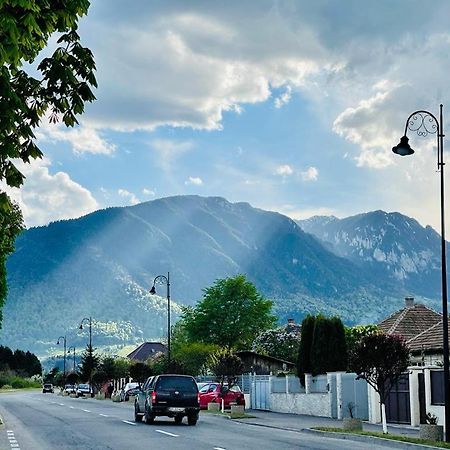 Casa Bunicilor Villa Colonia Sase Martie Bagian luar foto