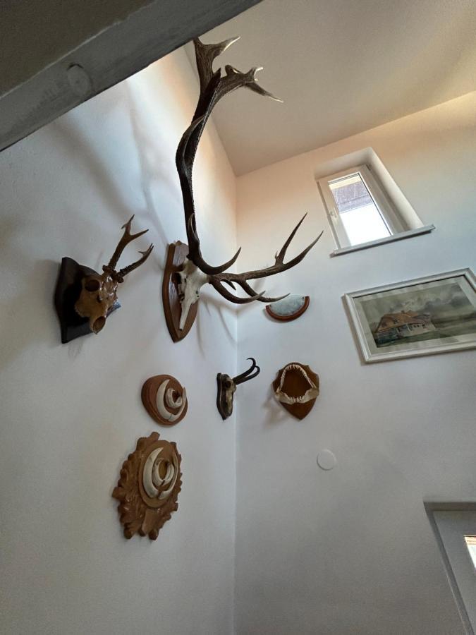 Casa Bunicilor Villa Colonia Sase Martie Bagian luar foto