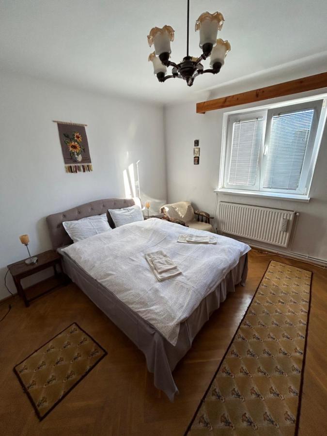 Casa Bunicilor Villa Colonia Sase Martie Bagian luar foto